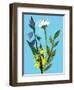 Spring flowers,2018-Sarah Thompson-Engels-Framed Giclee Print