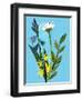 Spring flowers,2018-Sarah Thompson-Engels-Framed Giclee Print