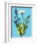 Spring flowers,2018-Sarah Thompson-Engels-Framed Giclee Print