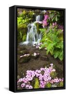 Spring Flowers Add Beauty to Waterfall at Crystal Springs Garden, Portland Oregon. Pacific Northwes-Craig Tuttle-Framed Stretched Canvas