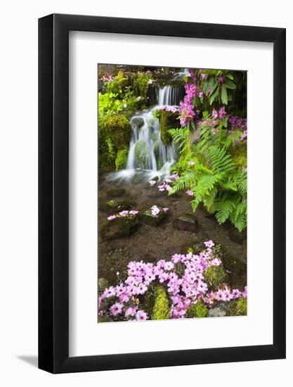 Spring Flowers Add Beauty to Waterfall at Crystal Springs Garden, Portland Oregon. Pacific Northwes-Craig Tuttle-Framed Photographic Print