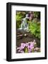 Spring Flowers Add Beauty to Waterfall at Crystal Springs Garden, Portland Oregon. Pacific Northwes-Craig Tuttle-Framed Photographic Print