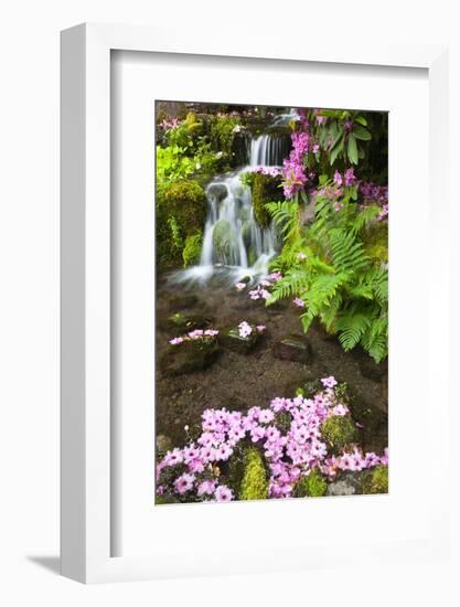 Spring Flowers Add Beauty to Waterfall at Crystal Springs Garden, Portland Oregon. Pacific Northwes-Craig Tuttle-Framed Photographic Print