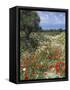 Spring Flowers, Akrotiri Peninsula, Chania Region, Crete, Greek Islands, Greece, Europe-Stuart Black-Framed Stretched Canvas