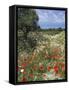 Spring Flowers, Akrotiri Peninsula, Chania Region, Crete, Greek Islands, Greece, Europe-Stuart Black-Framed Stretched Canvas