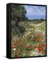 Spring Flowers, Akrotiri Peninsula, Chania Region, Crete, Greek Islands, Greece, Europe-Stuart Black-Framed Stretched Canvas