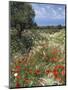 Spring Flowers, Akrotiri Peninsula, Chania Region, Crete, Greek Islands, Greece, Europe-Stuart Black-Mounted Photographic Print