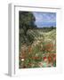 Spring Flowers, Akrotiri Peninsula, Chania Region, Crete, Greek Islands, Greece, Europe-Stuart Black-Framed Photographic Print