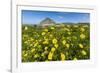 Spring Flowers and 659M Limestone Monte Cefano-Rob Francis-Framed Photographic Print