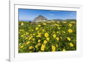 Spring Flowers and 659M Limestone Monte Cefano-Rob Francis-Framed Photographic Print