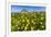 Spring Flowers and 659M Limestone Monte Cefano-Rob Francis-Framed Photographic Print