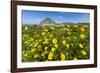 Spring Flowers and 659M Limestone Monte Cefano-Rob Francis-Framed Photographic Print