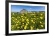 Spring Flowers and 659M Limestone Monte Cefano-Rob Francis-Framed Photographic Print