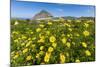 Spring Flowers and 659M Limestone Monte Cefano-Rob Francis-Mounted Photographic Print