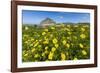 Spring Flowers and 659M Limestone Monte Cefano-Rob Francis-Framed Photographic Print
