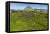 Spring Flowers and 659M Limestone Monte Cefano-Rob Francis-Framed Stretched Canvas