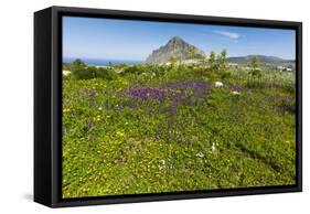 Spring Flowers and 659M Limestone Monte Cefano-Rob Francis-Framed Stretched Canvas