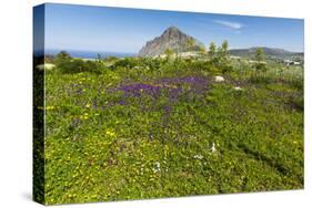 Spring Flowers and 659M Limestone Monte Cefano-Rob Francis-Stretched Canvas