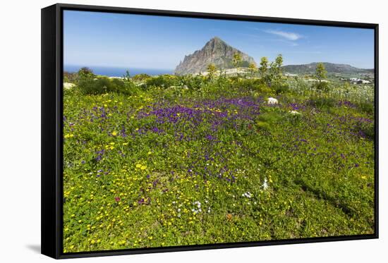 Spring Flowers and 659M Limestone Monte Cefano-Rob Francis-Framed Stretched Canvas