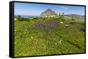 Spring Flowers and 659M Limestone Monte Cefano-Rob Francis-Framed Stretched Canvas