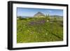 Spring Flowers and 659M Limestone Monte Cefano-Rob Francis-Framed Photographic Print