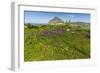 Spring Flowers and 659M Limestone Monte Cefano-Rob Francis-Framed Photographic Print