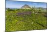 Spring Flowers and 659M Limestone Monte Cefano-Rob Francis-Mounted Photographic Print