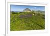 Spring Flowers and 659M Limestone Monte Cefano-Rob Francis-Framed Photographic Print