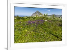 Spring Flowers and 659M Limestone Monte Cefano-Rob Francis-Framed Photographic Print