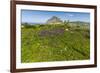 Spring Flowers and 659M Limestone Monte Cefano-Rob Francis-Framed Photographic Print