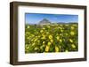 Spring Flowers and 659M Limestone Monte Cefano-Rob Francis-Framed Photographic Print