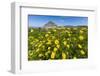 Spring Flowers and 659M Limestone Monte Cefano-Rob Francis-Framed Photographic Print