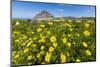 Spring Flowers and 659M Limestone Monte Cefano-Rob Francis-Mounted Photographic Print