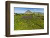 Spring Flowers and 659M Limestone Monte Cefano-Rob Francis-Framed Photographic Print