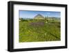 Spring Flowers and 659M Limestone Monte Cefano-Rob Francis-Framed Photographic Print