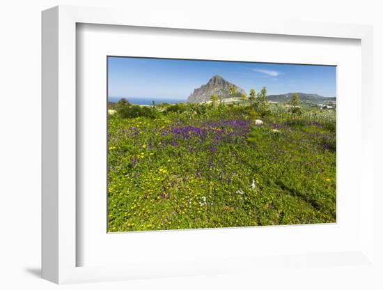 Spring Flowers and 659M Limestone Monte Cefano-Rob Francis-Framed Photographic Print