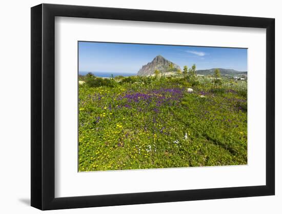 Spring Flowers and 659M Limestone Monte Cefano-Rob Francis-Framed Premium Photographic Print