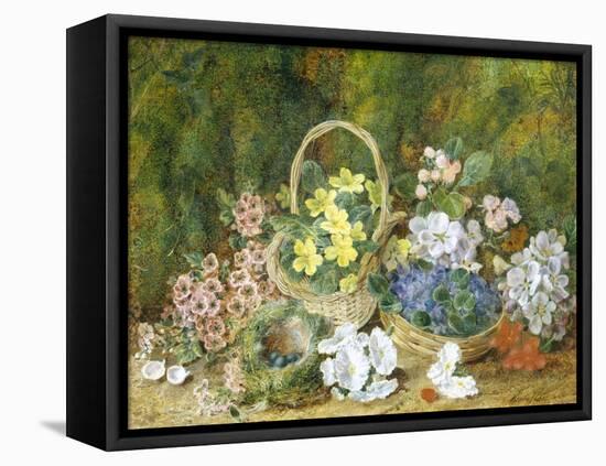 Spring Flowers and a Bird's Nest on a Mossy Bank-George Clare-Framed Stretched Canvas