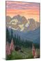 Spring Flowers and Bear Family Mountains-Lantern Press-Mounted Art Print