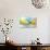 Spring Flowers And Bird 6-Ata Alishahi-Giclee Print displayed on a wall