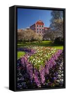 Spring Flowers and Historic Crown Mills Building, Dunedin, Otago, South Island, New Zealand-David Wall-Framed Stretched Canvas