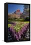 Spring Flowers and Historic Crown Mills Building, Dunedin, Otago, South Island, New Zealand-David Wall-Framed Stretched Canvas