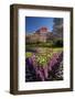 Spring Flowers and Historic Crown Mills Building, Dunedin, Otago, South Island, New Zealand-David Wall-Framed Photographic Print