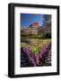 Spring Flowers and Historic Crown Mills Building, Dunedin, Otago, South Island, New Zealand-David Wall-Framed Photographic Print