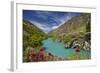 Spring Flowers and Kawarau River, Kararau Gorge, Central Otago, South Island, New Zealand-David Wall-Framed Photographic Print