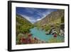 Spring Flowers and Kawarau River, Kararau Gorge, Central Otago, South Island, New Zealand-David Wall-Framed Photographic Print