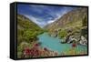 Spring Flowers and Kawarau River, Kararau Gorge, Central Otago, South Island, New Zealand-David Wall-Framed Stretched Canvas