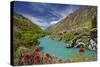 Spring Flowers and Kawarau River, Kararau Gorge, Central Otago, South Island, New Zealand-David Wall-Stretched Canvas