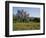 Spring Flowers and Olive Trees on Lower Troodos Slopes Near Arsos, Cyprus-Michael Short-Framed Photographic Print