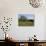 Spring Flowers and Olive Trees on Lower Troodos Slopes Near Arsos, Cyprus-Michael Short-Photographic Print displayed on a wall